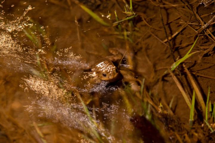 andreas-schantl-vlrlViEAE68-unsplash