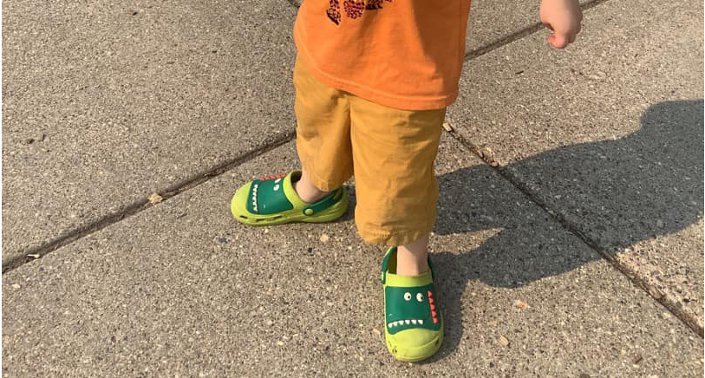 image of alligator crocks